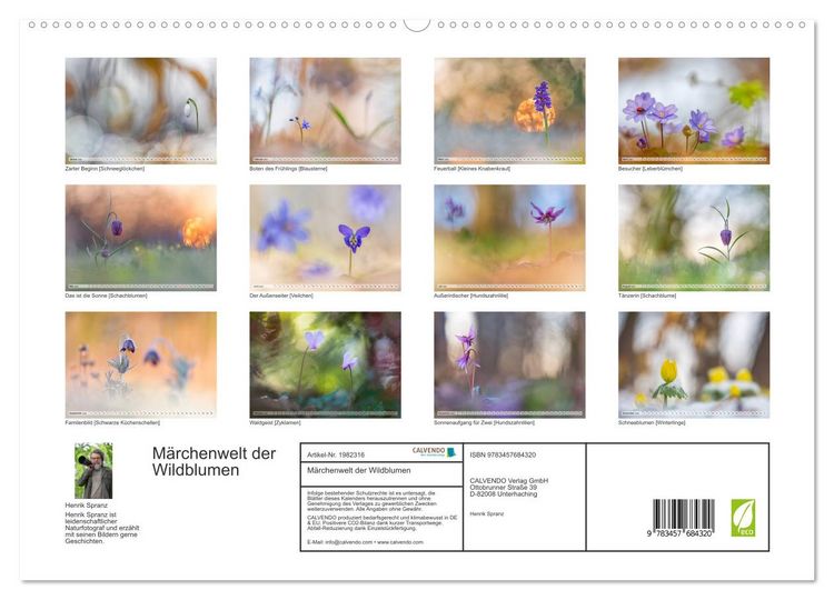 Produktbild: M&auml;rchenwelt der Wildblumen (hochwertiger Premium Wandkalender 2026 DIN A2 quer), Kunstdruck in Hochglanz