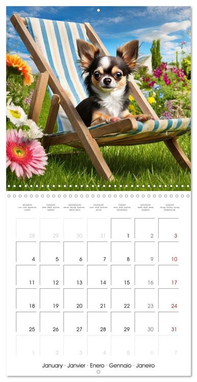 Produktbild: Chilling Chihuahuas (Wall Calendar 2027 12 &times; 12 Inch) CALVENDO 12 Month Wall Calendar