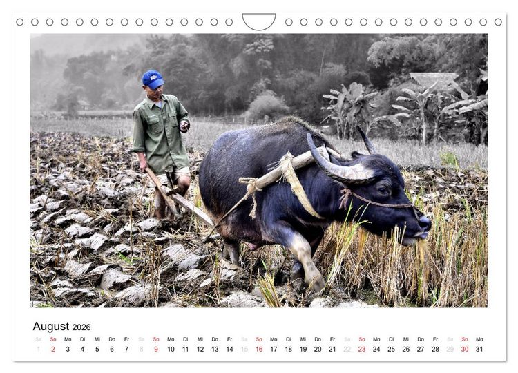 Produktbild: Vietnam - Mit anderen Augen (Wandkalender 2026 DIN A4 quer), CALVENDO Monatskalender