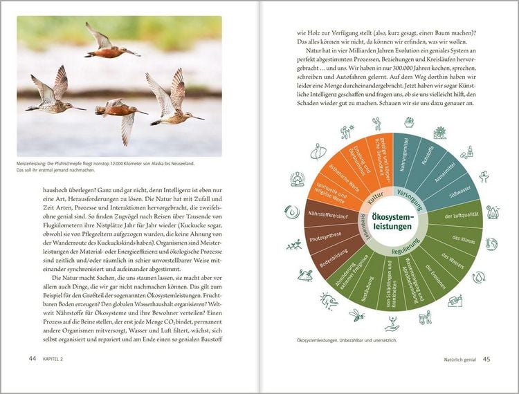 Produktbild: Kann KI die Natur retten?