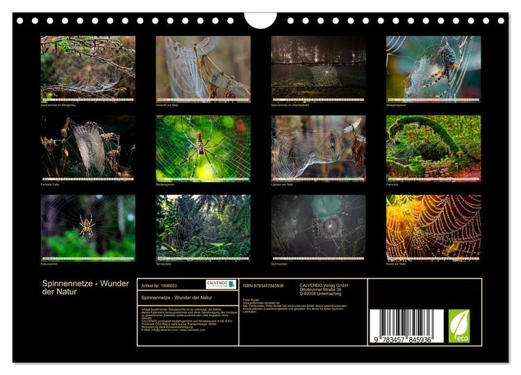 Produktbild: Spinnennetze - Wunder der Natur (Wandkalender 2026 DIN A4 quer), CALVENDO Monatskalender