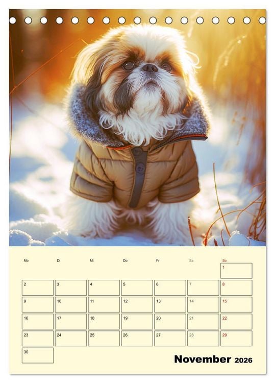 Produktbild: Shih Tzu Alarm. Gl&uuml;ckliche Wuschelk&ouml;pfe (Tischkalender 2026 DIN A5 hoch), CALVENDO Monatskalender