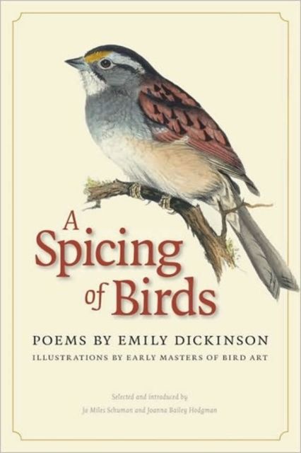 Produktbild: A Spicing of Birds