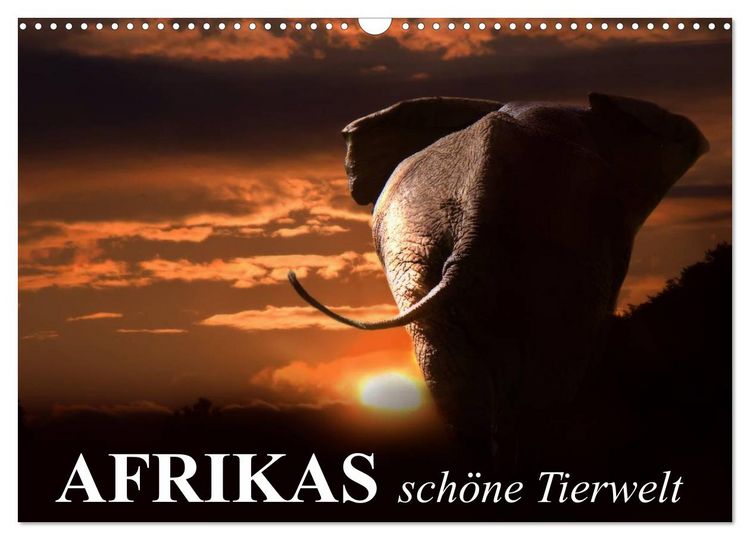 Produktbild: Afrikas sch&ouml;ne Tierwelt (Wandkalender 2026 DIN A3 quer), CALVENDO Monatskalender