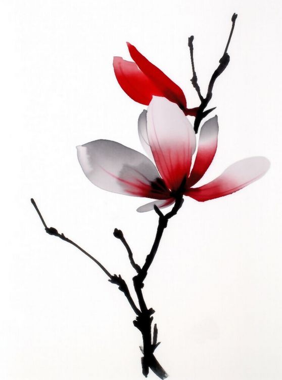 Produktbild: CALVENDO Puzzle Magnolie | 2000 Teile Lege-Gr&ouml;&szlig;e 90x67cm Foto-Puzzle f&uuml;r gl&uuml;ckliche Stunden