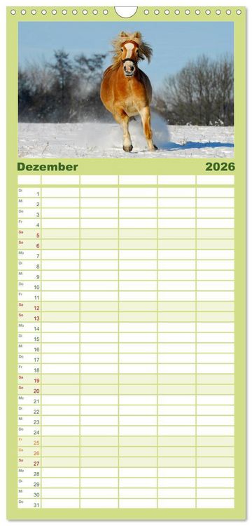 Produktbild: Familienplaner 2026 - Welt der Pferde mit 5 Spalten (Wandkalender, 21 x 45 cm) CALVENDO