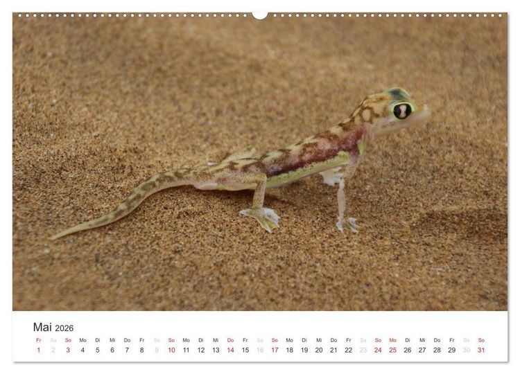 Produktbild: Namibia - Tierische Vielfalt (hochwertiger Premium Wandkalender 2026 DIN A2 quer), Kunstdruck in Hochglanz