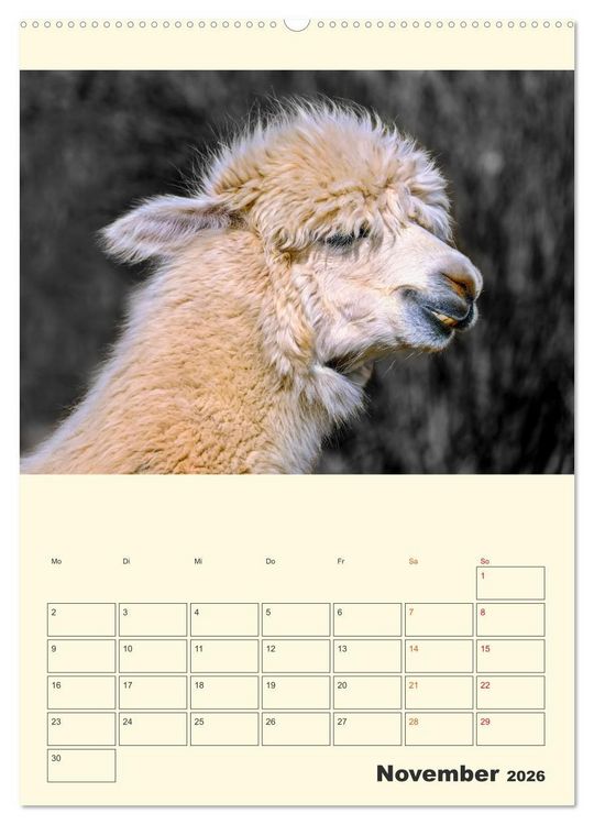 Produktbild: Putzige Alpakas (hochwertiger Premium Wandkalender 2026 DIN A2 hoch), Kunstdruck in Hochglanz