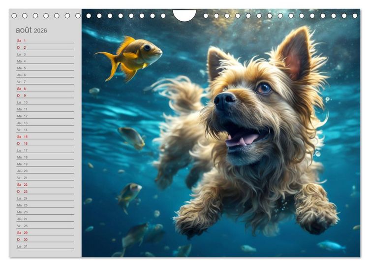 Produktbild: Chiens : les nageurs intr&eacute;pides (Calendrier mural 2026 DIN A4 vertical), CALVENDO calendrier mensuel