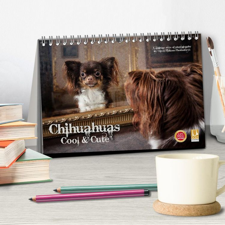 Produktbild: Chihuahuas - Cool and Cute (Tischkalender 2026 DIN A5 quer), CALVENDO Monatskalender