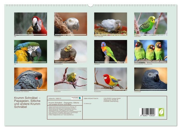 Produktbild: Krumm Schn&auml;bel - Papageien, Sittiche und andere Krumm Schn&auml;bel (hochwertiger Premium Wandkalender 2026 DIN A2 quer), Kunstdruck in Hochglanz