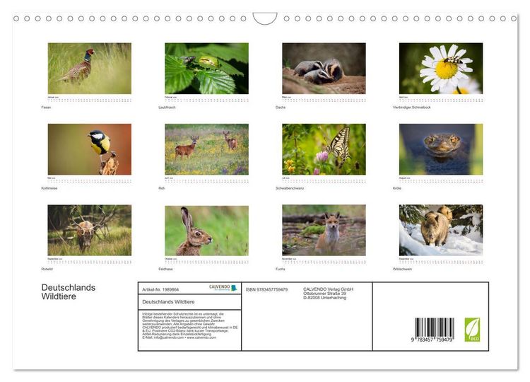 Produktbild: Deutschlands Wildtiere (Wandkalender 2026 DIN A3 quer), CALVENDO Monatskalender