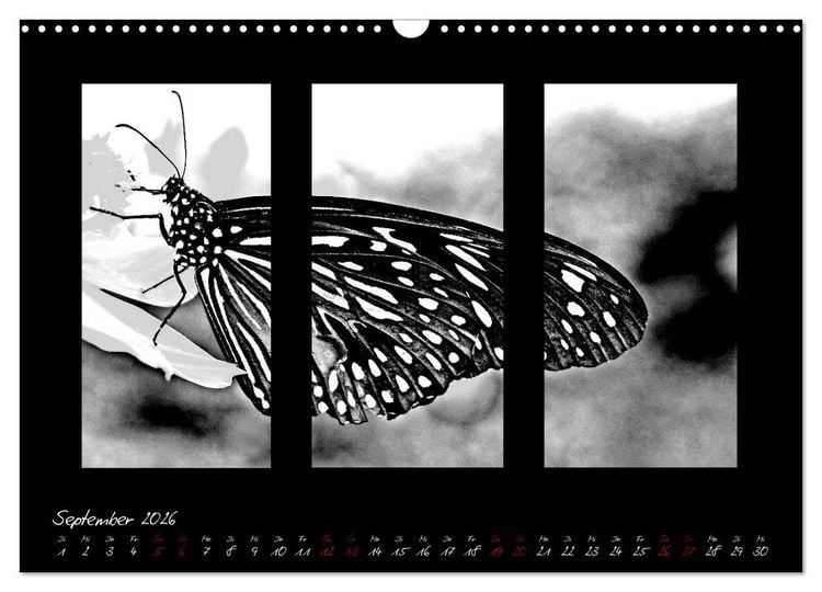 Produktbild: Die Kunst der Natur - Dreifach Stilvoll (Wandkalender 2026 DIN A3 quer), CALVENDO Monatskalender