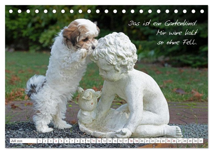 Produktbild: Hallo, ich bin Lilly (Tischkalender 2026 DIN A5 quer), CALVENDO Monatskalender