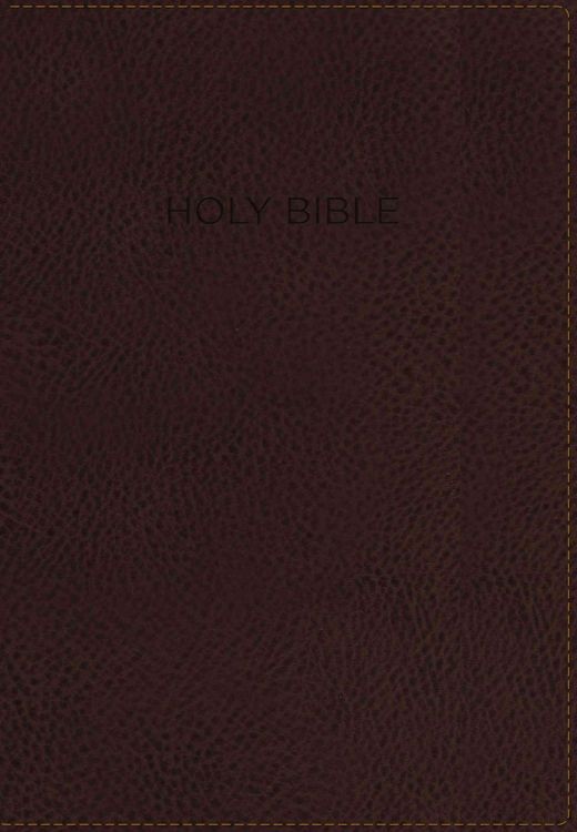 Produktbild: Foundation Study Bible-NIV