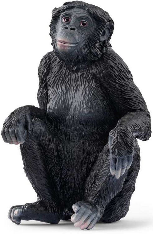 Produktbild: schleich&reg; 14875 - Wild Life, Bonobo Weibchen, Affe, Tierfigur, H&ouml;he: 6 cm