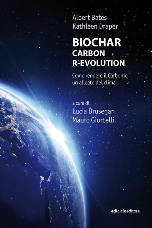 Produktbild: Biochar Carbon R-Evolution