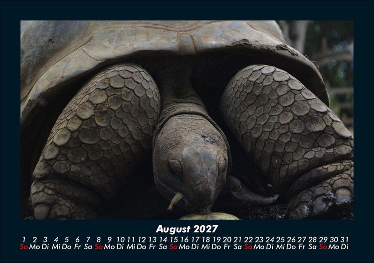 Produktbild: Schildkr&ouml;tenzauber 2027 Fotokalender DIN A5