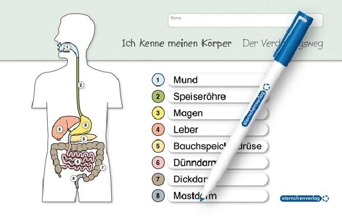 Produktbild: Ich kenne meinen K&ouml;rper - Der Verdauungsweg