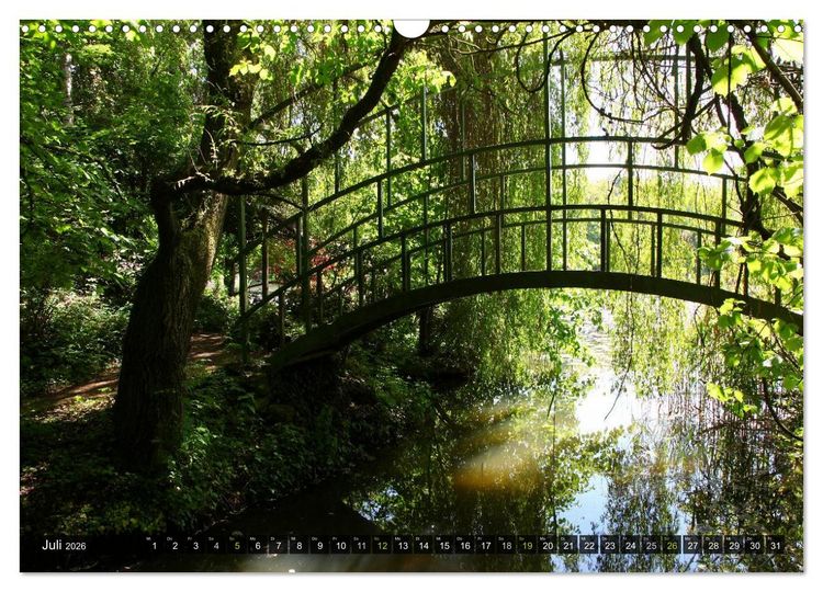 Produktbild: B&auml;ume (Wandkalender 2026 DIN A3 quer), CALVENDO Monatskalender