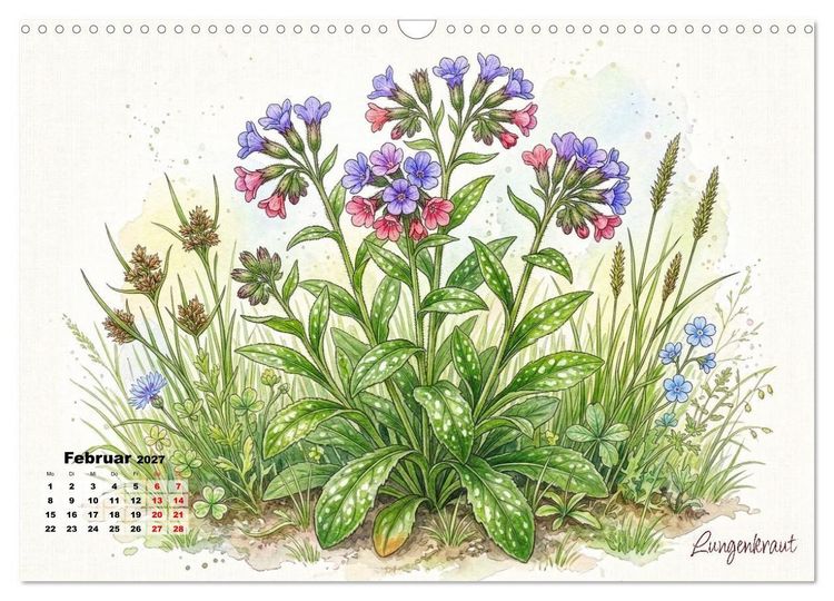 Produktbild: Wilde Kostbarkeiten &ndash; Essbar, gesund & wundersch&ouml;n (Wandkalender 2027 DIN A3 quer), CALVENDO Monatskalender