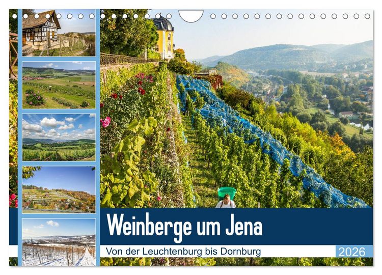 Produktbild: Weinberge um Jena (Wandkalender 2026 DIN A4 quer), CALVENDO Monatskalender