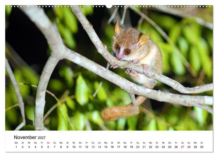 Produktbild: Blickpunkte auf Madagaskar (Wandkalender 2027 DIN A2 quer), CALVENDO Monatskalender