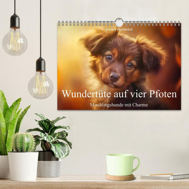 Produktbild: Wundert&uuml;te auf vier Pfoten - Mischlingshunde mit Charme (Wandkalender 2026 DIN A4 quer), CALVENDO Monatskalender