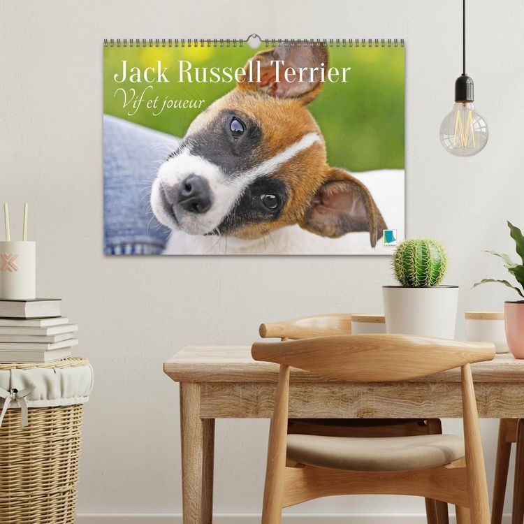 Produktbild: Jack Russell Terrier : vif et joueur (Calendrier mural 2026 DIN A3 vertical), CALVENDO calendrier mensuel