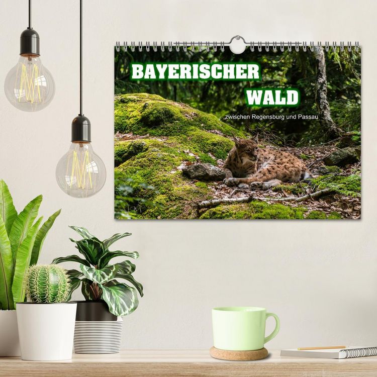 Produktbild: Bayerischer Wald (Wandkalender 2026 DIN A4 quer), CALVENDO Monatskalender