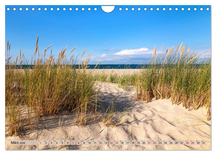 Produktbild: IN SYLT VERLIEBT (Wandkalender 2026 DIN A4 quer), CALVENDO Monatskalender