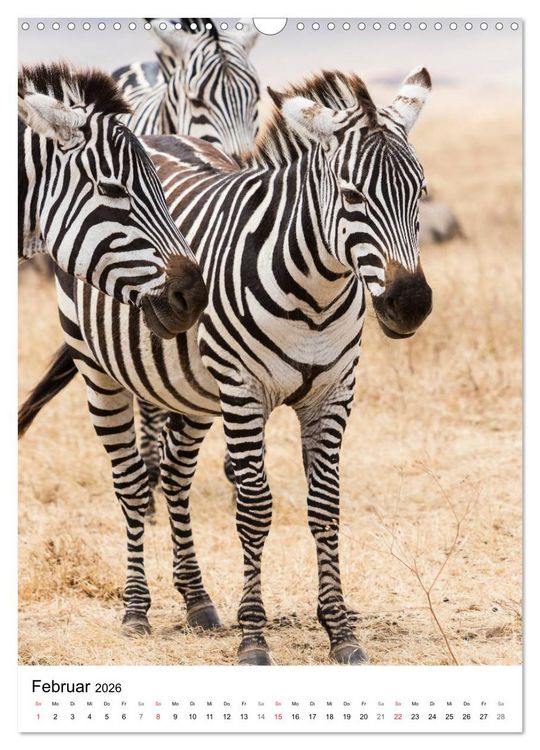 Produktbild: Serengeti Pur - Tansania (Wandkalender 2026 DIN A3 hoch), CALVENDO Monatskalender