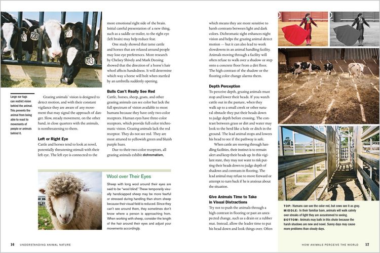 Produktbild: Temple Grandin's Guide to Working with Farm Animals