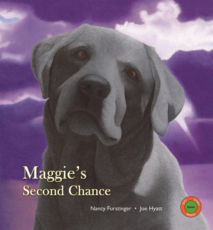 Produktbild: Maggie's Second Chance
