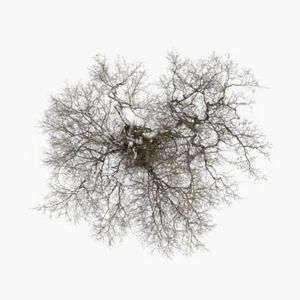 Produktbild: Tree