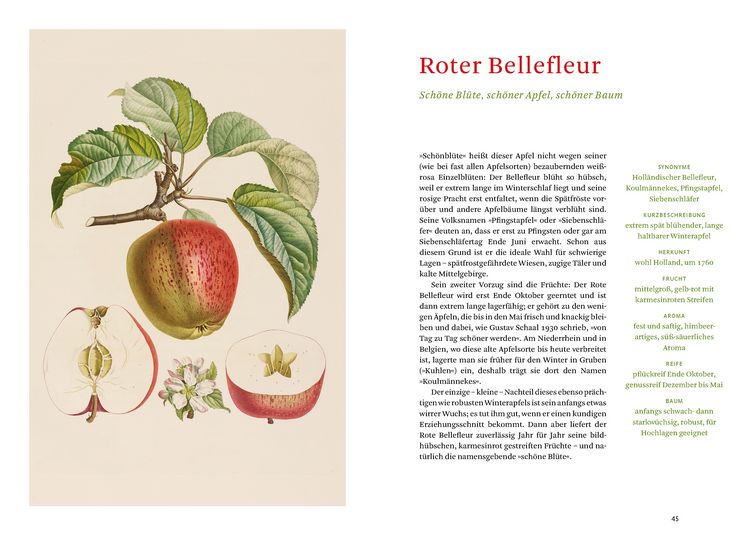 Produktbild: Die alten Obstsorten