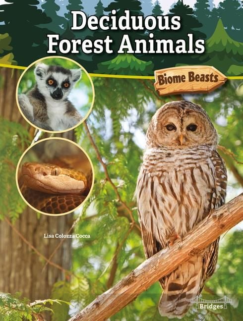 Produktbild: Deciduous Forest Animals