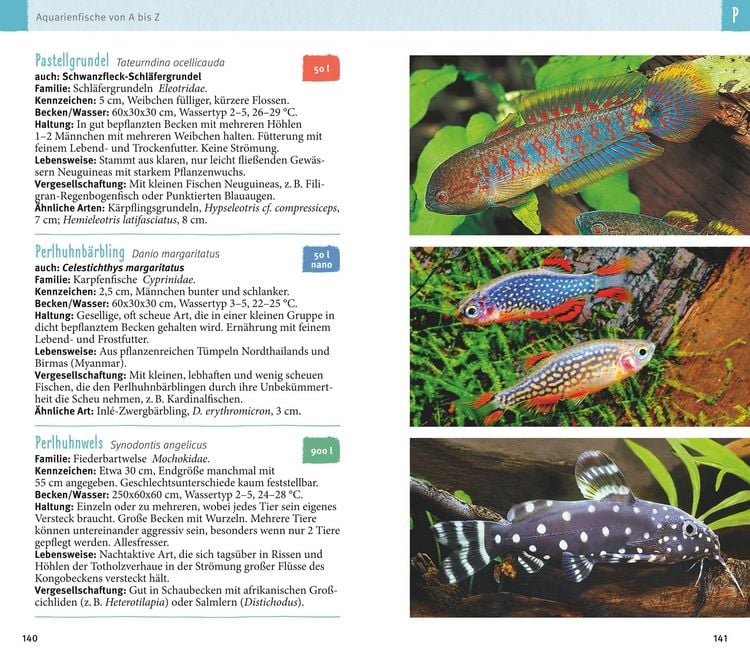 Produktbild: Aquarienfische von A bis Z