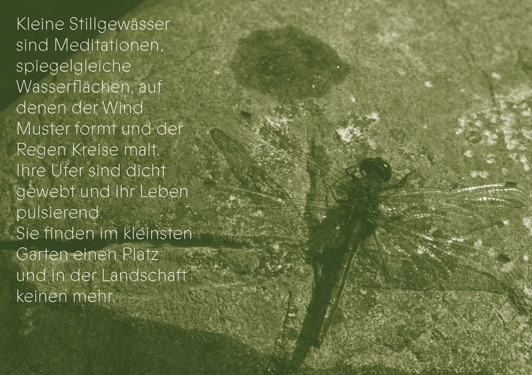 Produktbild: Die Gaben des Wassers