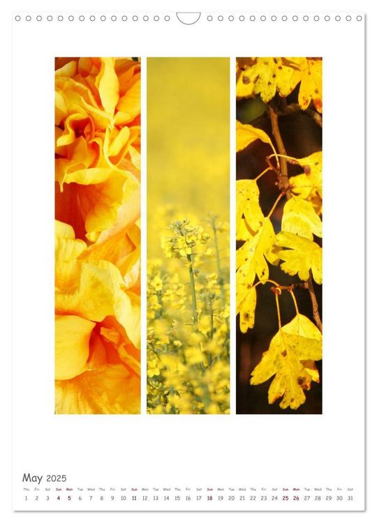 Produktbild: Colours of Nature - Triptycha (Wall Calendar 2025 DIN A3 portrait), CALVENDO 12 Month Wall Calendar