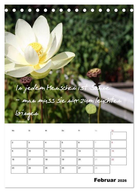 Produktbild: Spr&uuml;che und Weisheiten f&uuml;r&acute; s Jahr (Tischkalender 2026 DIN A5 hoch), CALVENDO Monatskalender