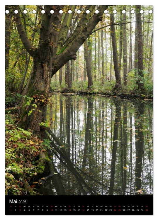 Produktbild: Wunderbarer Spreewald (Tischkalender 2026 DIN A5 hoch), CALVENDO Monatskalender