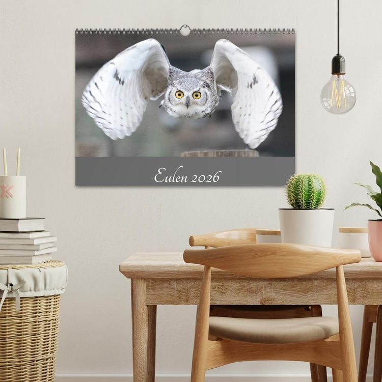 Produktbild: Eulen 2026 (Wandkalender 2026 DIN A3 quer), CALVENDO Monatskalender
