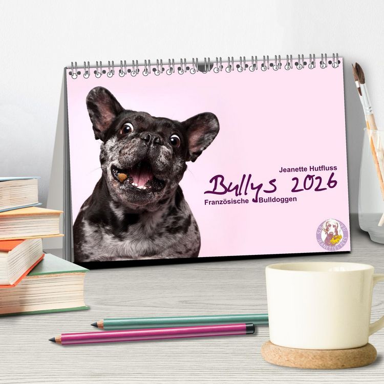 Produktbild: Bullys - Franz&ouml;sische Bulldoggen 2026 (Tischkalender 2026 DIN A5 quer), CALVENDO Monatskalender