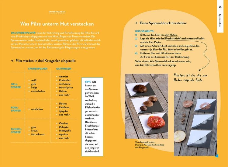 Produktbild: Nature Guide Pilze