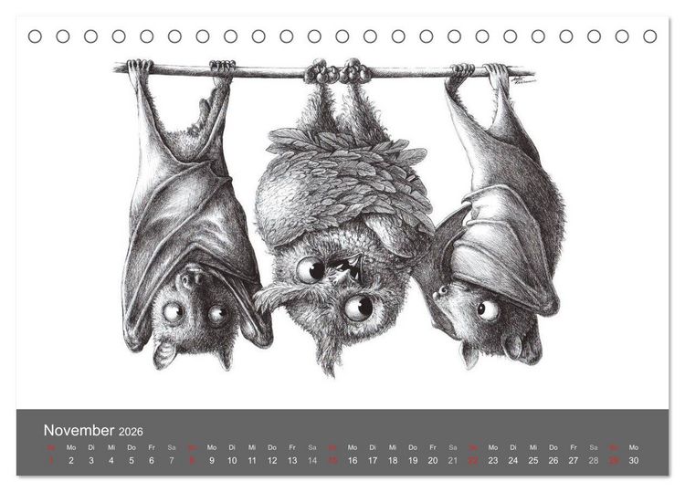 Produktbild: owls & friends 2026 (Tischkalender 2026 DIN A5 quer), CALVENDO Monatskalender