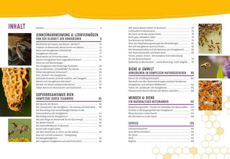 Produktbild: Auch Bienen haben Schwei&szlig;f&uuml;&szlig;e