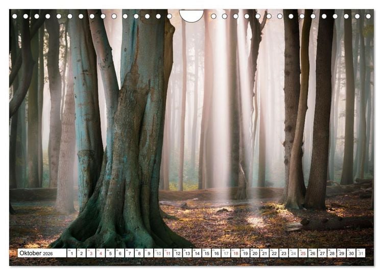Produktbild: Traumhaftes Mecklenburg-Vorpommern (Wandkalender 2026 DIN A4 quer), CALVENDO Monatskalender