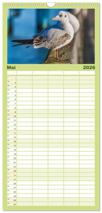 Produktbild: Familienplaner 2026 - Entdeckungen auf der Insel R&uuml;gen mit 5 Spalten (Wandkalender, 21 x 45 cm) CALVENDO