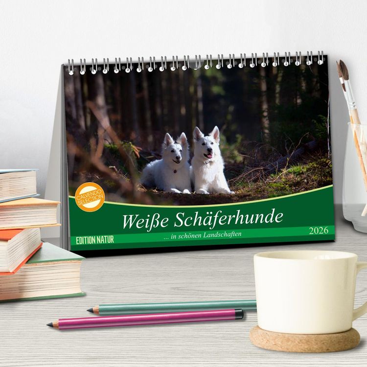 Produktbild: Wei&szlig;e Sch&auml;ferhunde in sch&ouml;nen Landschaften (Tischkalender 2026 DIN A5 quer), CALVENDO Monatskalender